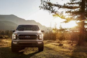 A silver 2022 Ford F-150 parked on a hill near a tree with a mountain range in the background at sunset.