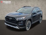 2019 Toyota RAV4 Adventure