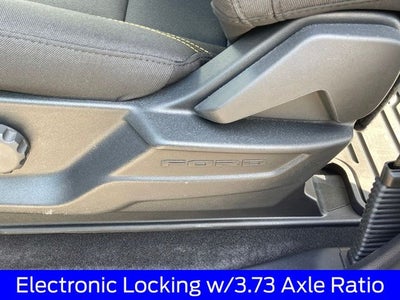 2025 Ford F-150 STX LOBO