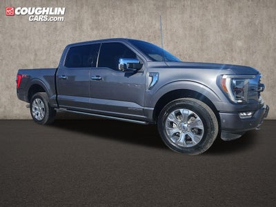 2023 Ford F-150 Platinum FX4