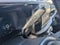 2027 Ford F-350SD Lariat